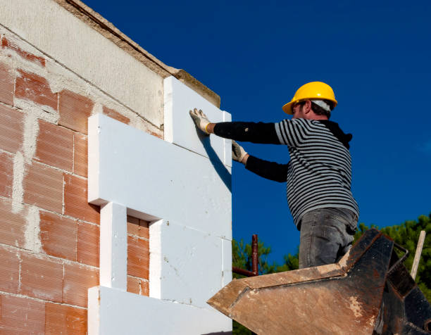 Best Insulation Maintenance and Repair in Skyline, AL