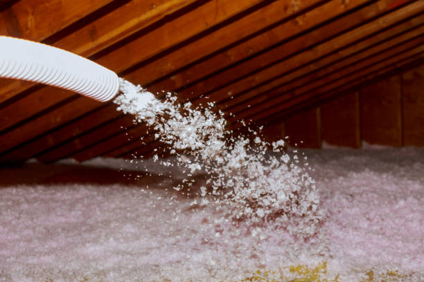 Best Spray Foam Insulation in Skyline, AL