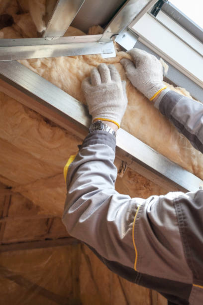 Best Geographic-Specific Insulation Services in Skyline, AL