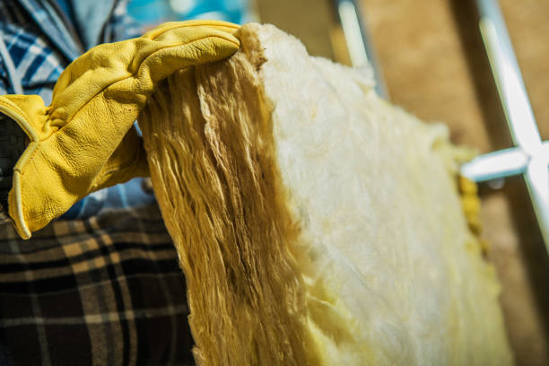 Best Cellulose Insulation in Skyline, AL