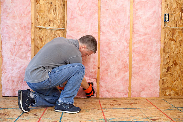 Professional Insulation Contractor in Skyline, AL