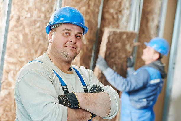 Best Residential Insulation in Skyline, AL
