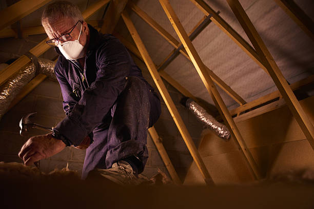 Types of Insulation We Offer in Skyline, AL