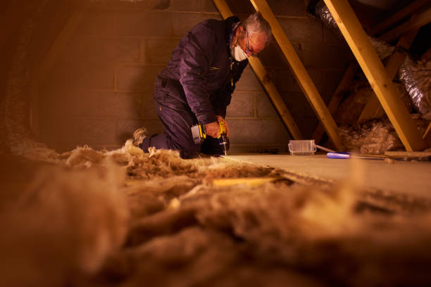Types of Insulation We Offer in Skyline, AL